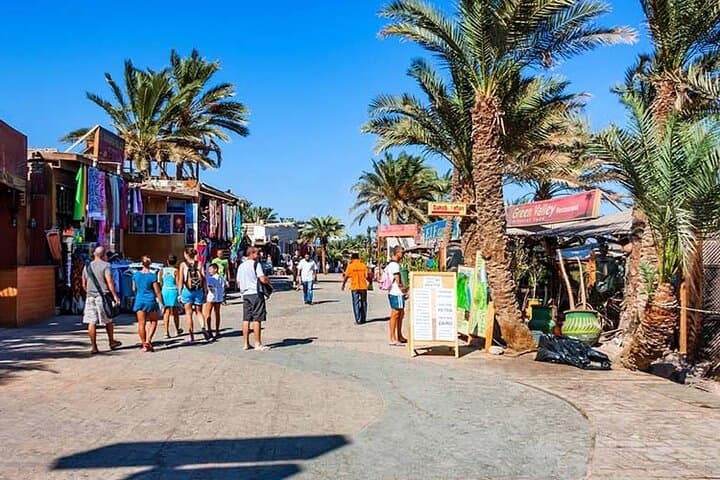St. Catherine and Dahab Day Trip from Sharm El Sheikh — Monastery, Mount Sinai & Coastal Dahab photo 3