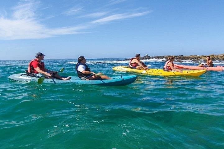 Kayak Jumeirah Beach Dubai: 2-Hour Sea Paddle with Free Transfer photo 4