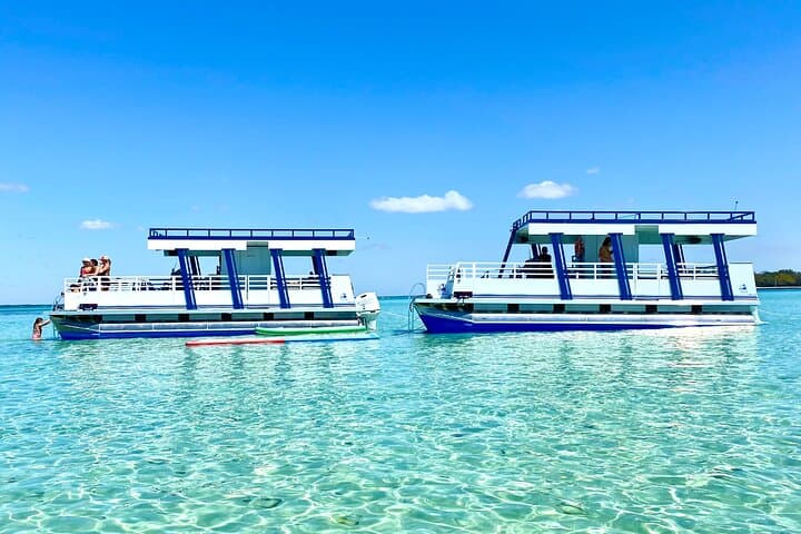 Private Destin Pontoon Charter to Crab Island — Snorkel, Dolphin Watch & Harbor Tour photo 4