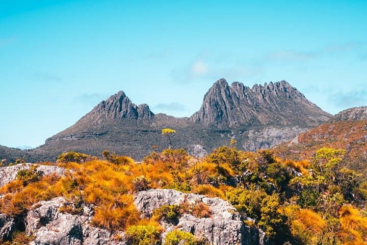 Cradle Mountain Day Tour from Launceston: Dove Lake, Enchanted Forest & Ashgrove Cheese photo 3
