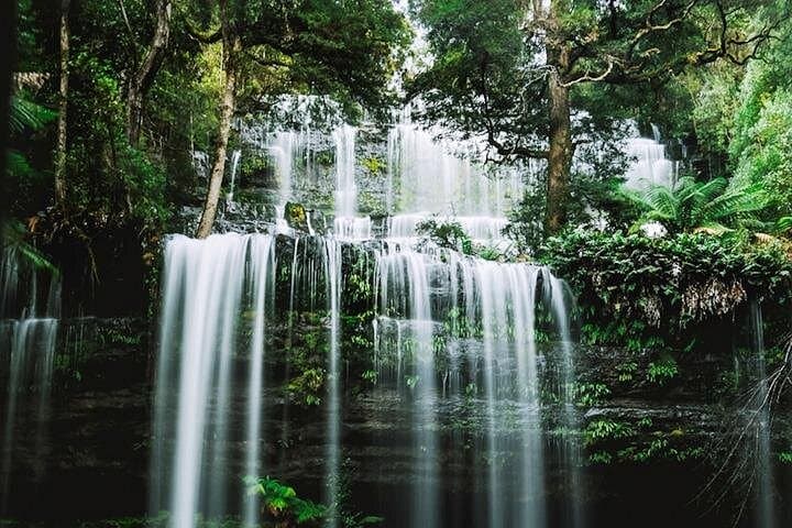 Day Trip to Mt Field National Park & Russell Falls from Hobart photo 1