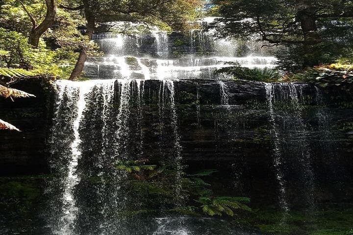 Day Trip to Mt Field National Park & Russell Falls from Hobart photo 2