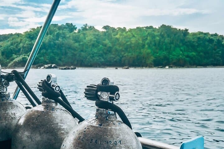Isla del Caño Diving Tour from Drake Bay — Certified Divers' Guide photo 2