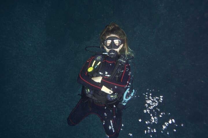 Isla del Caño Diving Tour from Drake Bay — Certified Divers' Guide photo 3