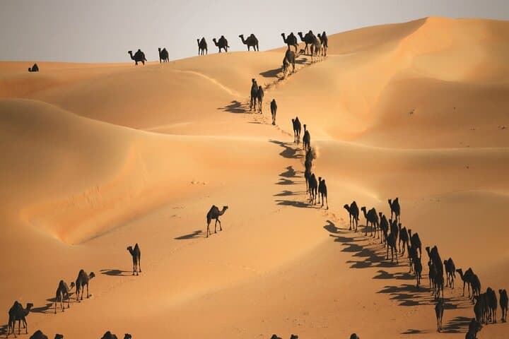 Liwa Dunes 4x4 Safari: Full-Day Desert Adventure From Abu Dhabi photo 1