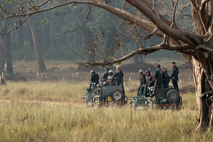 14-Day Central India Tiger Safari: Bandhavgarh, Kanha, Pench & Satpura Wildlife Tour