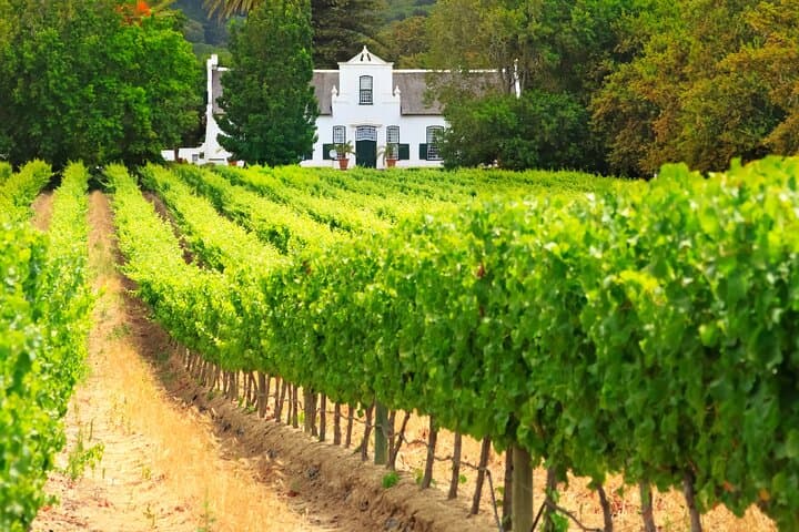 Full-Day Private Chauffeur in Cape Town — Custom 8-Hour Touring Service photo 5