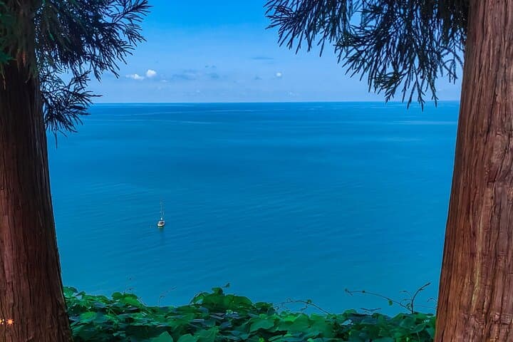 Batumi to Mtirala National Park and Batumi Botanical Garden: Private Day Tour photo 3