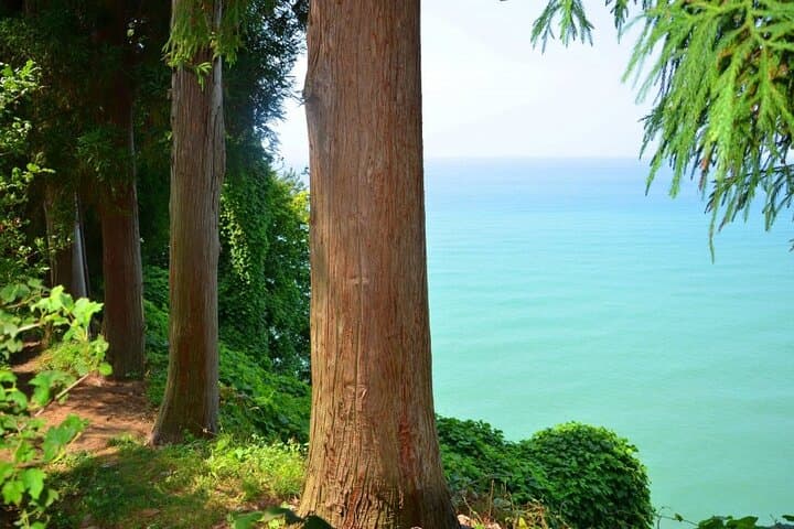 Batumi to Mtirala National Park and Batumi Botanical Garden: Private Day Tour photo 5