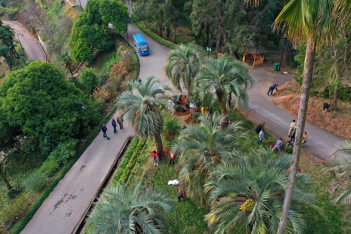 Batumi to Mtirala National Park and Batumi Botanical Garden: Private Day Tour photo 6