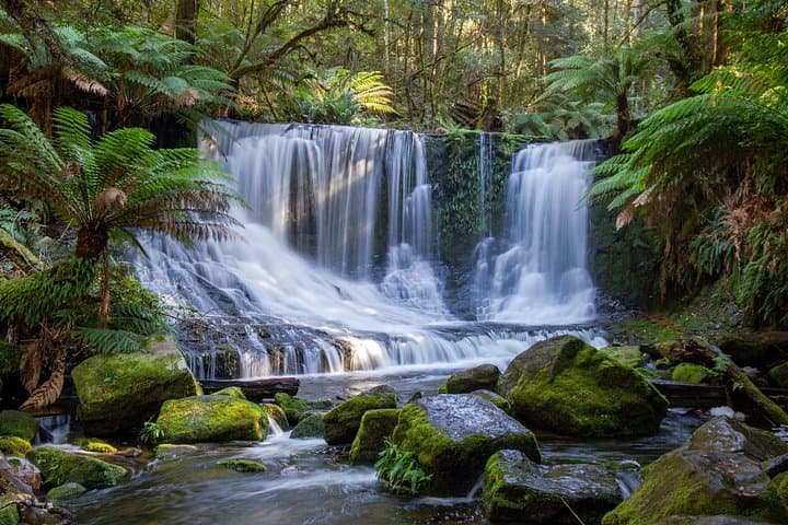 Day Trip to Mt Field National Park & Russell Falls from Hobart photo 3