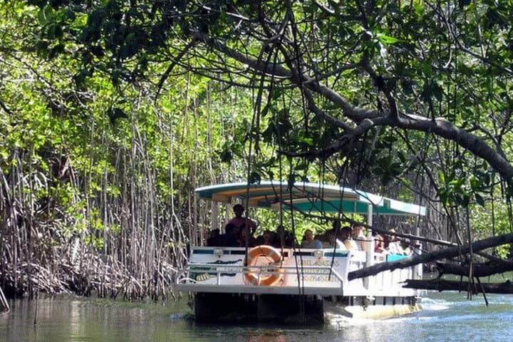 Pelican Bar and Black River Safari from Montego Bay — Boat Tour to Floyd’s Pelican Bar & Black River Crocodile Ride photo 2