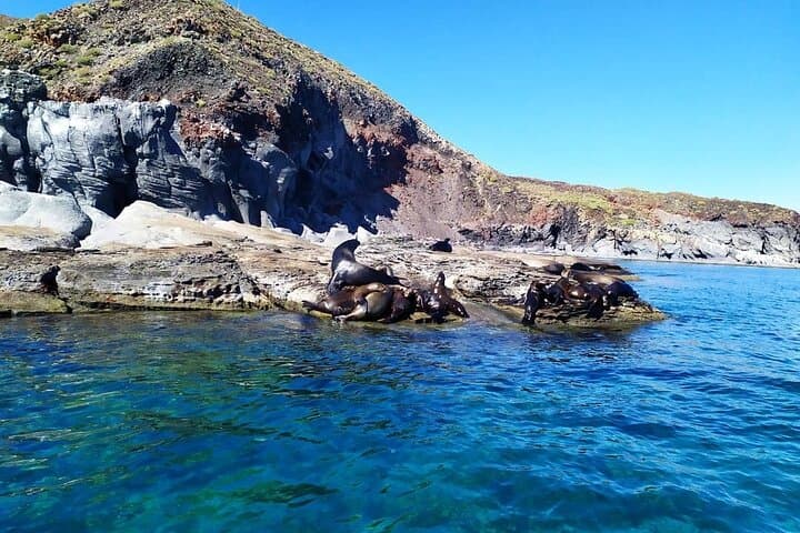 Snorkel Coronado Island — Loreto Bay Marine Park Day Tour photo 2
