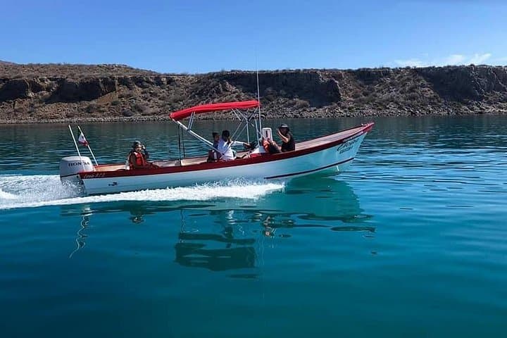 Snorkel Coronado Island — Loreto Bay Marine Park Day Tour photo 4