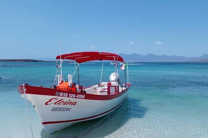 Snorkel Coronado Island — Loreto Bay Marine Park Day Tour photo 5