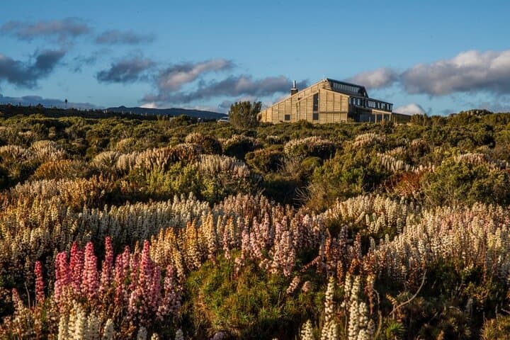 Heartlands Odyssey: 4-Day Thousand Lakes Lodge Alpine Tour photo 2