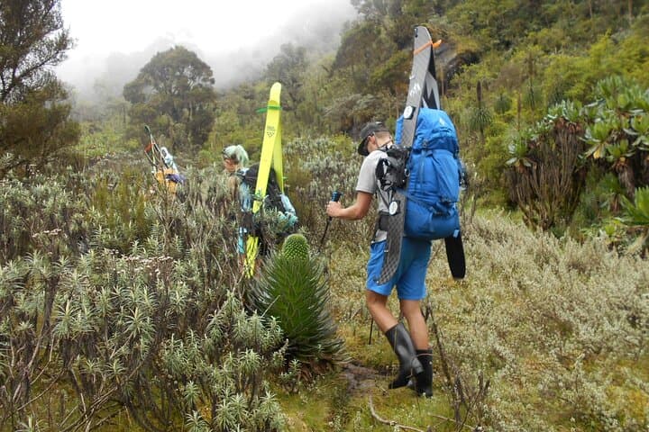 Summiting Margherita: 10-Day Rwenzori Kilembe Route Trek photo 5