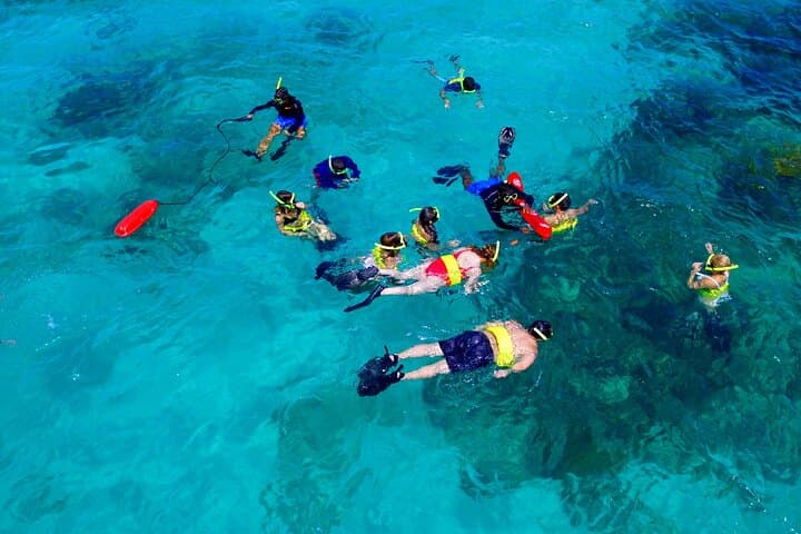 All-Inclusive Icacos & Vieques Snorkel Boat Tour from Fajardo photo 5