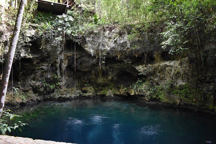 Explore 3 Jungle Cenotes and Zipline Near Puerto Morelos — Day Adventure photo 4