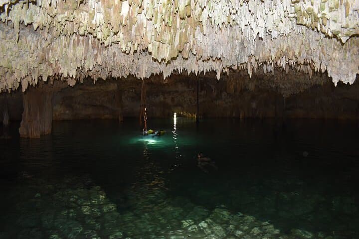 Explore 3 Jungle Cenotes and Zipline Near Puerto Morelos — Day Adventure photo 5