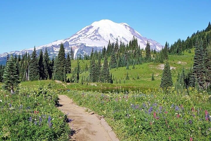 Full-Day Mount Rainier Private SUV Tour from Seattle photo 2