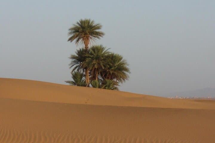 Agadir Dunes Day Trip: Sahara Sand Dunes with Lunch from Agadir or Taghazout photo 4