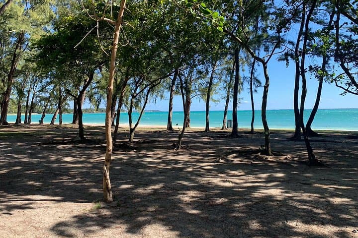 Belle Mare to Île aux Cerfs: Full-Day Watersports, Parasailing & Undersea Walk photo 2