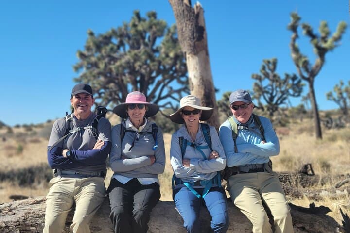 Full-Day Hike in Joshua Tree National Park — Guided High Desert Walks & History