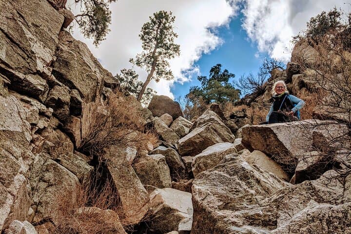 Full-Day Hike in Joshua Tree National Park — Guided High Desert Walks & History photo 6