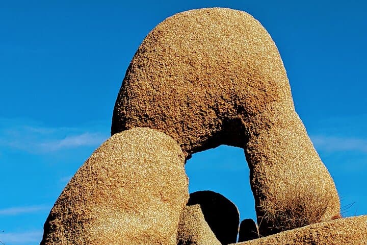 Full-Day Hike in Joshua Tree National Park — Guided High Desert Walks & History photo 5