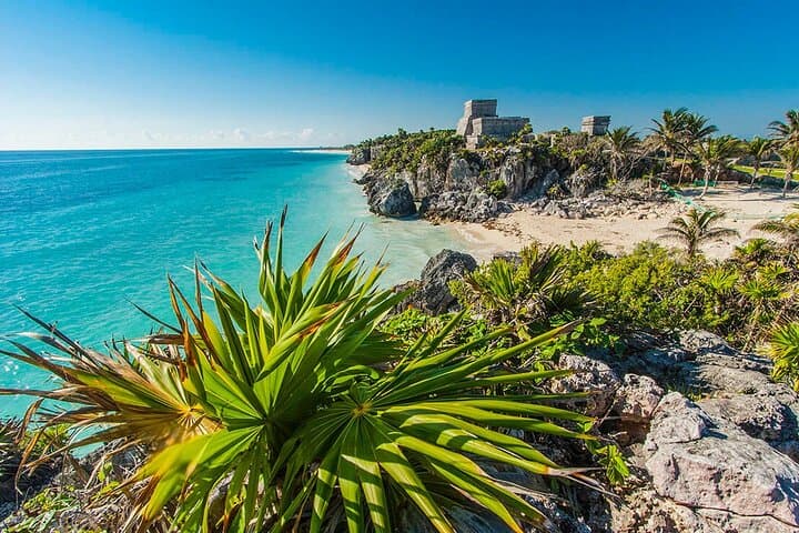 Tulum Ruins, Cenote Swim & Turtle Snorkel: Private Tour from Playa del Carmen photo 4