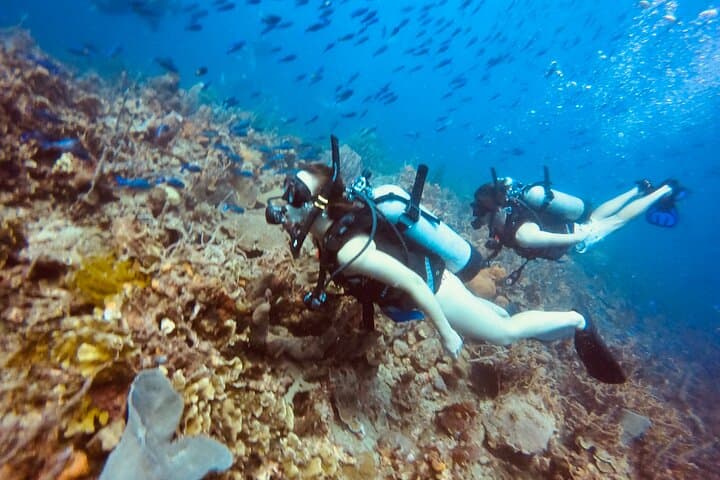 Full-Day Scuba Diving in the Rosario Islands — Isla Grande Reefs & Wreck Dives