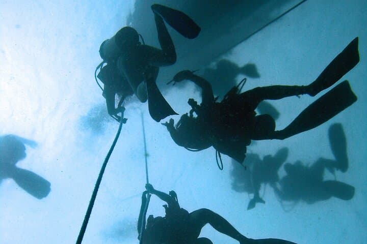 Full-Day Scuba Diving in the Rosario Islands — Isla Grande Reefs & Wreck Dives photo 4