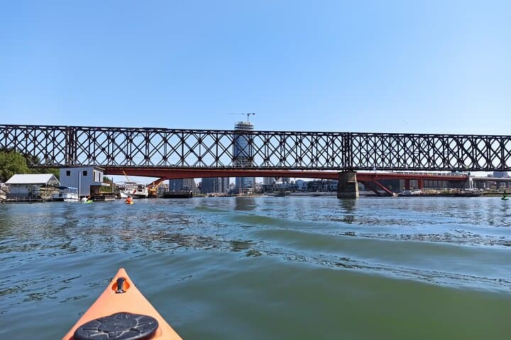 Kayaking Under Belgrade Bridges: Zemun to Kalemegdan River Paddle photo 5