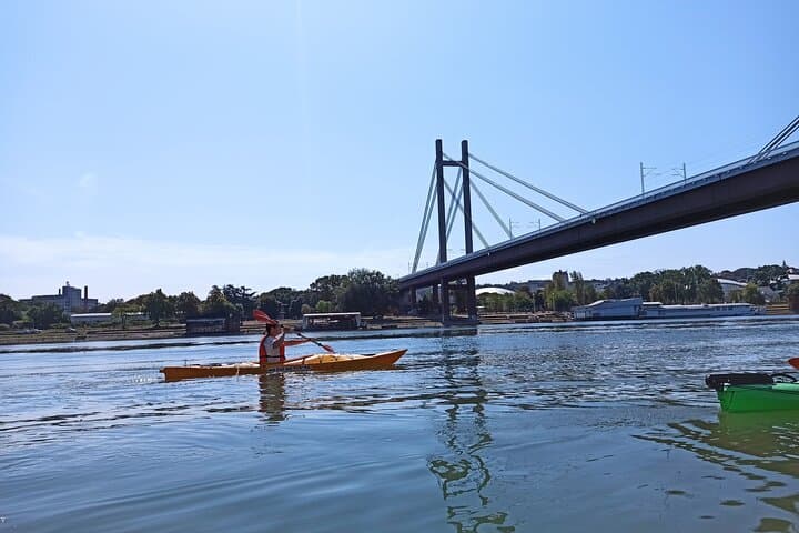 Kayaking Under Belgrade Bridges: Zemun to Kalemegdan River Paddle photo 6