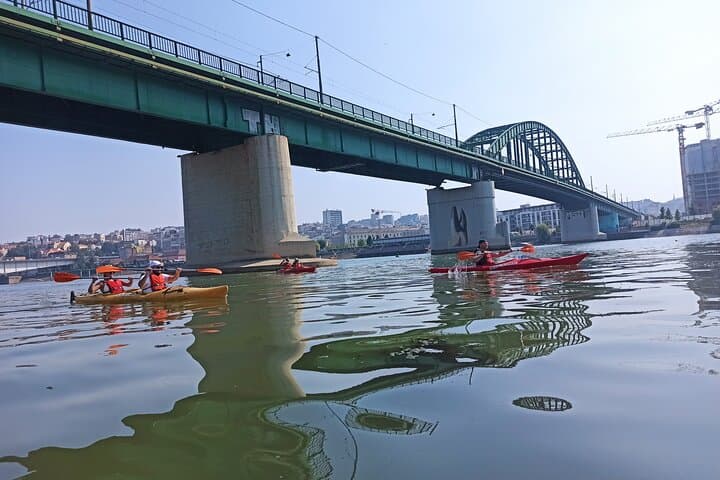 Kayaking Under Belgrade Bridges: Zemun to Kalemegdan River Paddle