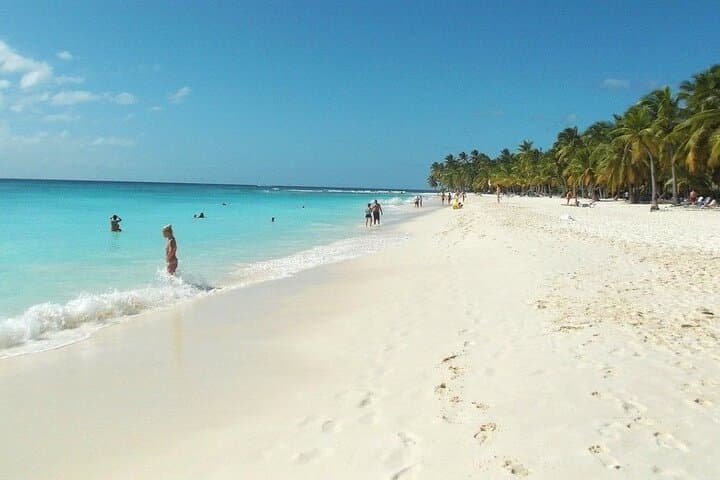 Saona Island Catamaran & Speedboat Tour — Buffet, Natural Pool and Starfish photo 3