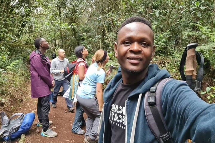 Kilimanjaro Day Hike to Mandara Hut — Rainforest Scramble from Moshi or Arusha photo 3