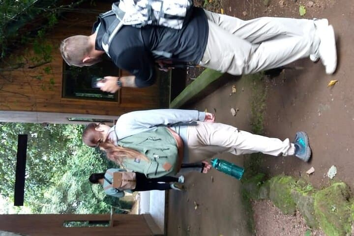 Kilimanjaro Day Hike to Mandara Hut — Rainforest Scramble from Moshi or Arusha photo 5