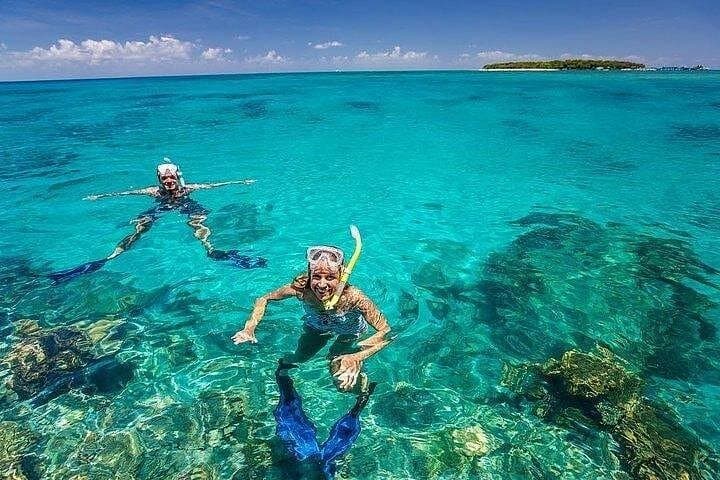 Dhow Cruise to Mnemba Island: Full-Day Snorkeling & Dolphin Watching from Nungwi photo 4