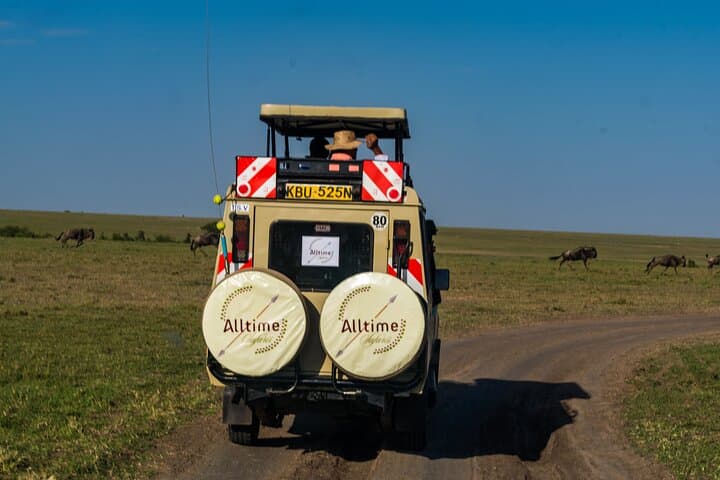 10-Day Private Honeymoon Kenya Safari and Beach: Maasai Mara, Amboseli & Mombasa photo 2