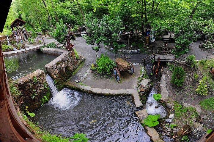 Sapanca & Kartepe Day Tour from Istanbul — Lake Walks, Masukiye Village, and Snowhill photo 5