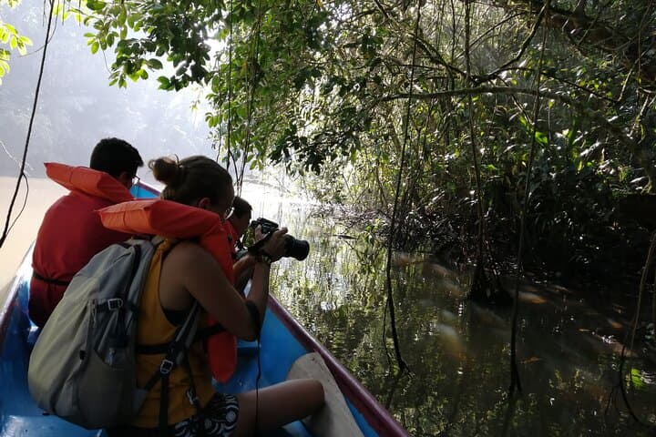 Tortuguero Canoe Canal Tour: 2.5-Hour Wildlife Paddle in Costa Rica photo 2