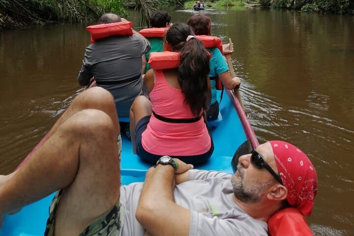Tortuguero Canoe Canal Tour: 2.5-Hour Wildlife Paddle in Costa Rica photo 3