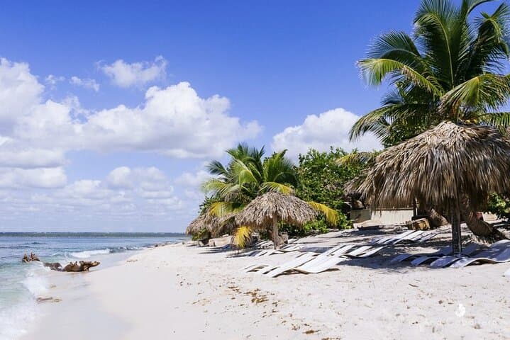 Full-Day Catalina Island & Cap Cana Snorkel Tour from Punta Cana photo 4