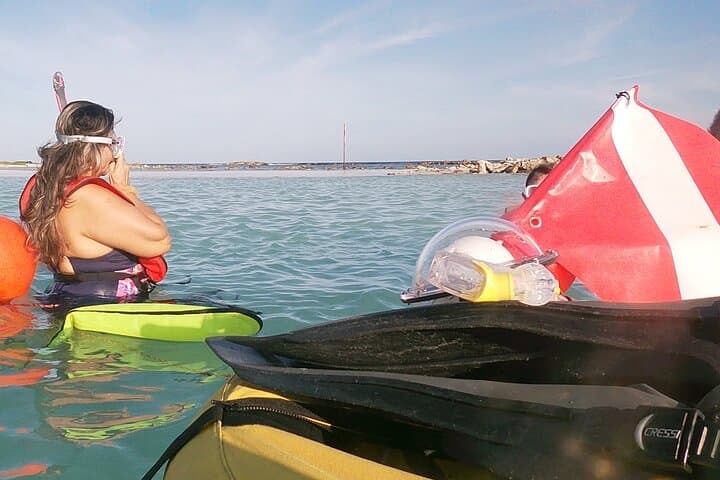 Aruba Snorkeling at Mangel Halto & Baby Beach — Guided Tour from San Nicolas photo 3