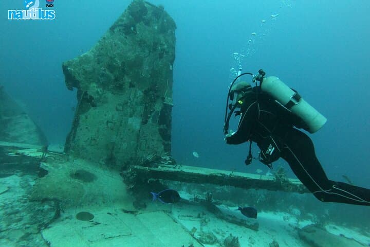 Aruba Two-Tank Boat Dive: Shipwrecks and Barcadera Reef photo 5