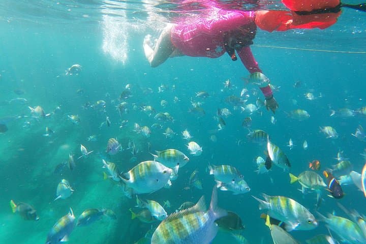 Sea of Cortez Snorkel Adventure from Los Cabos — 4‑Hour VIP Beach Camp photo 2