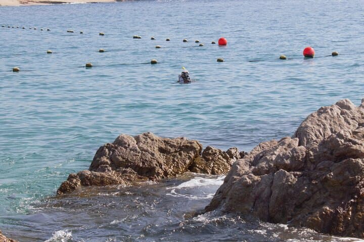 Sea of Cortez Snorkel Adventure from Los Cabos — 4‑Hour VIP Beach Camp photo 3