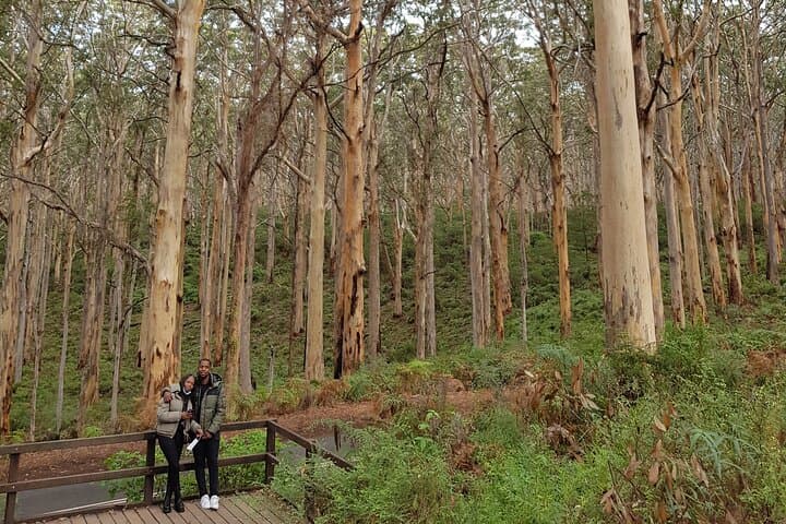 Margaret River Private Bespoke Tour — Tailored Winery Walks, Tastings & Coastal Rambles photo 4